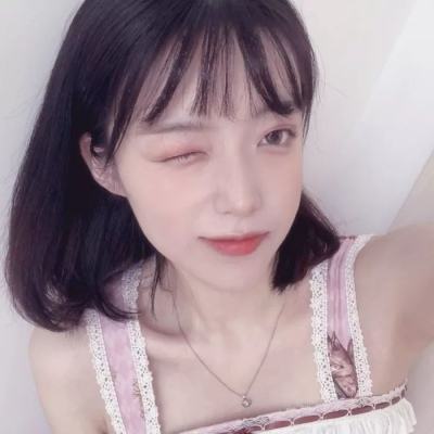英雄训练师国际版下载